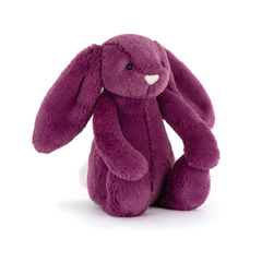 Bashful Allium Bunny